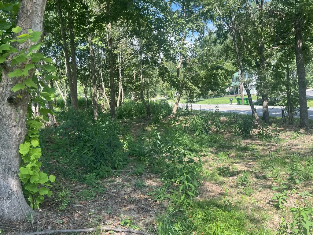 0 Highway 638 Manchester KY 40962