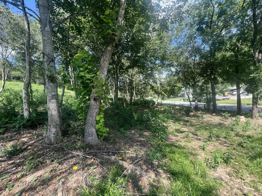 0 Highway 638 Manchester KY 40962