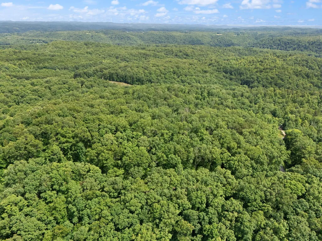 2401 Bell Point Road Beattyville KY 41311