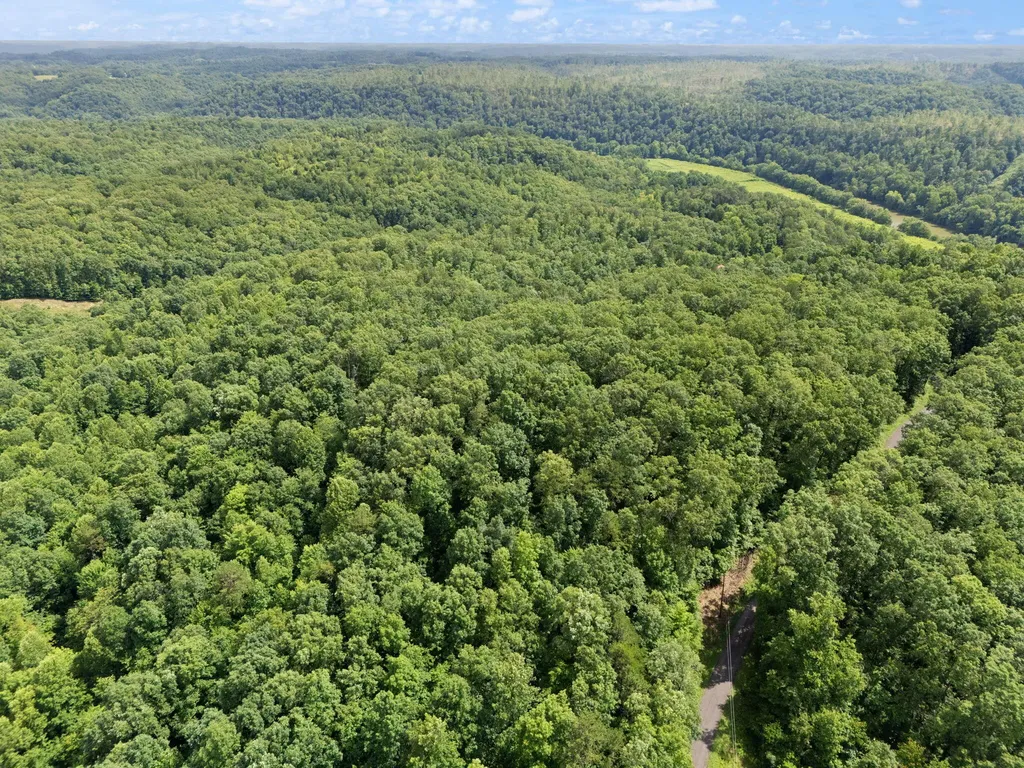 2401 Bell Point Road Beattyville KY 41311