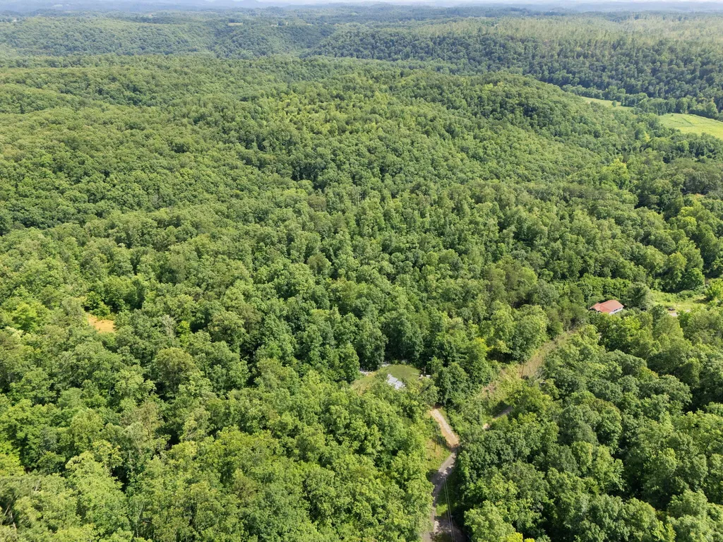 2401 Bell Point Road Beattyville KY 41311