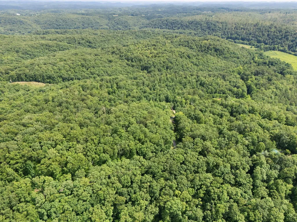2401 Bell Point Road Beattyville KY 41311