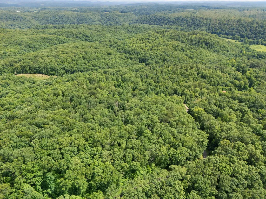2401 Bell Point Road Beattyville KY 41311