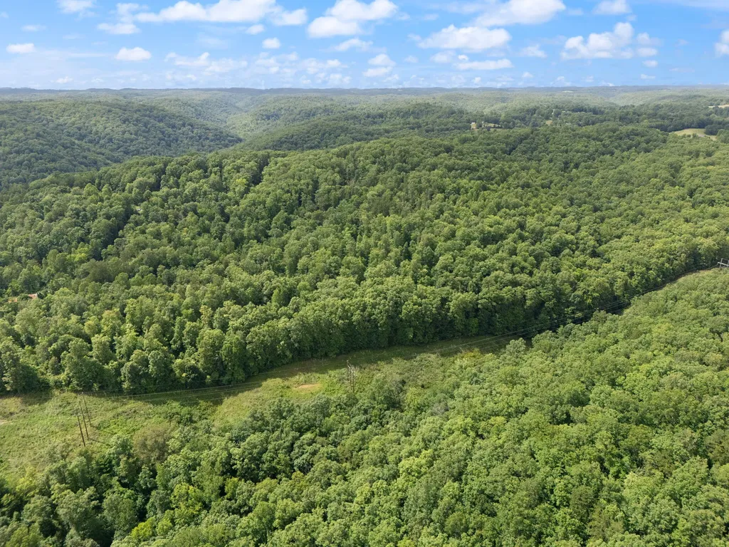 2401 Bell Point Road Beattyville KY 41311