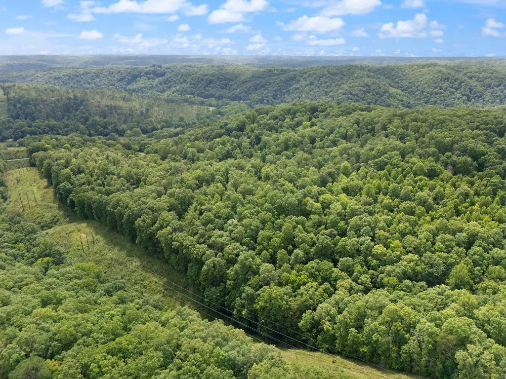2401 Bell Point Road Beattyville KY 41311