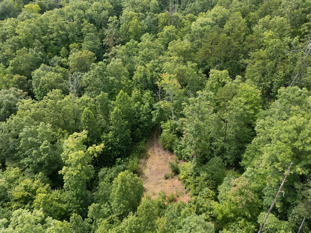 2401 Bell Point Road Beattyville KY 41311