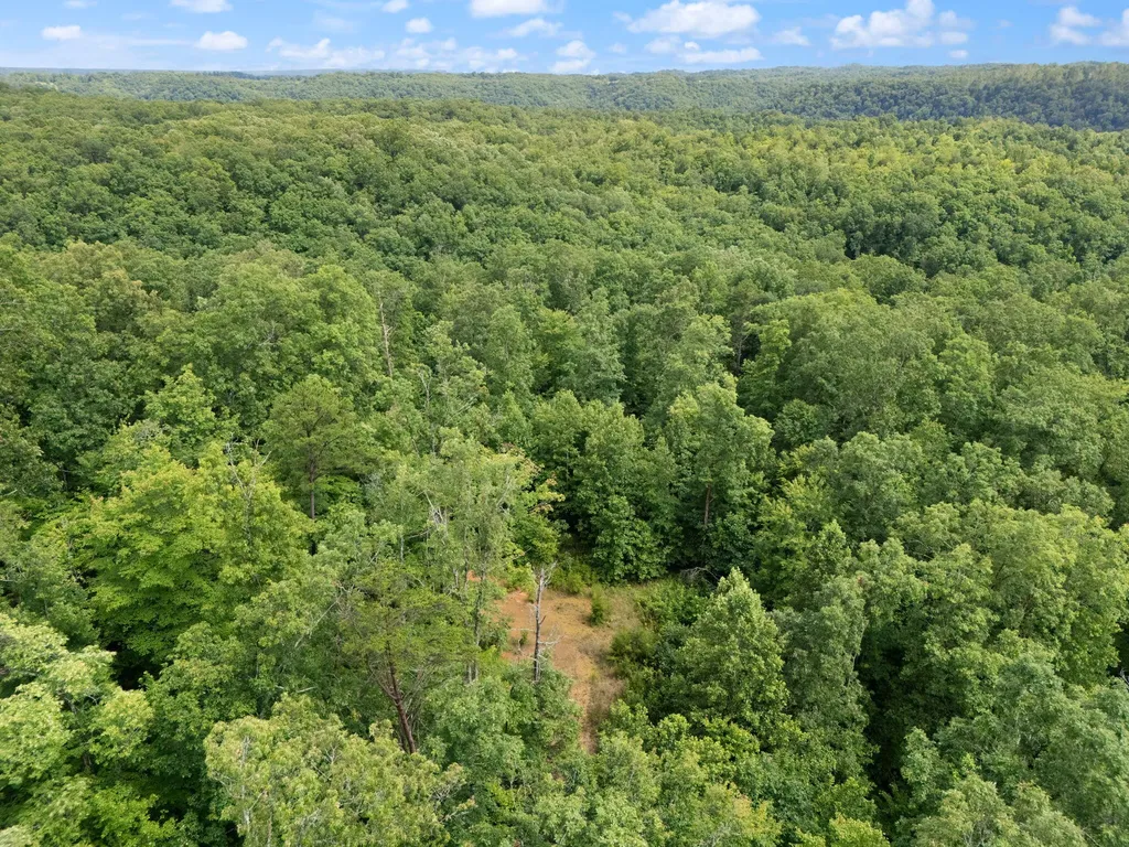2401 Bell Point Road Beattyville KY 41311
