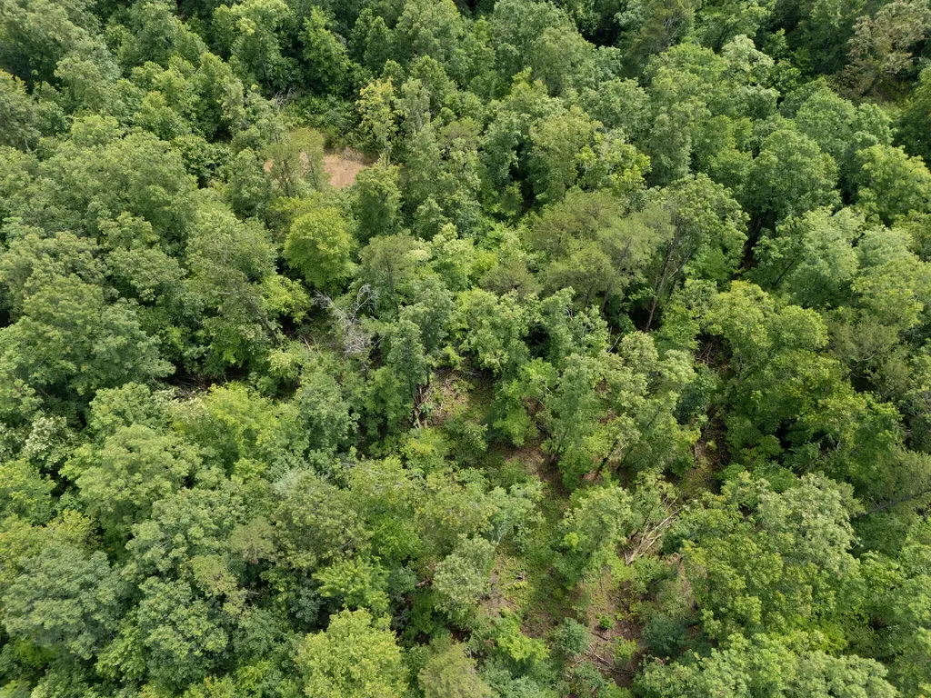 2401 Bell Point Road Beattyville KY 41311