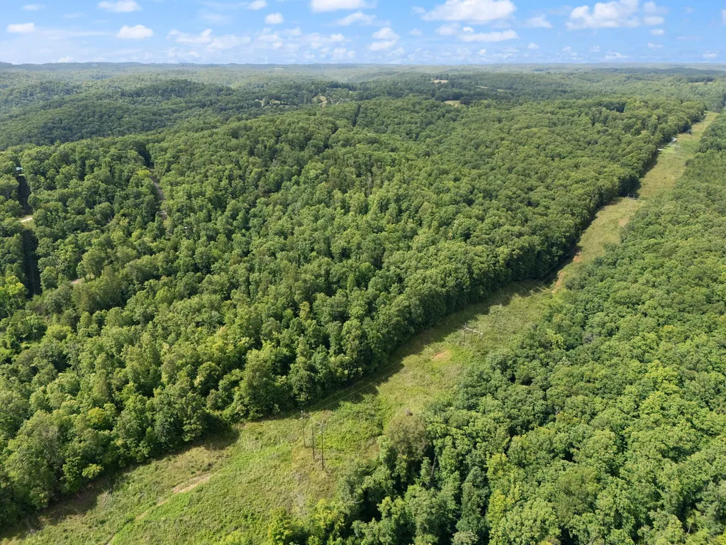 2401 Bell Point Road Beattyville KY 41311