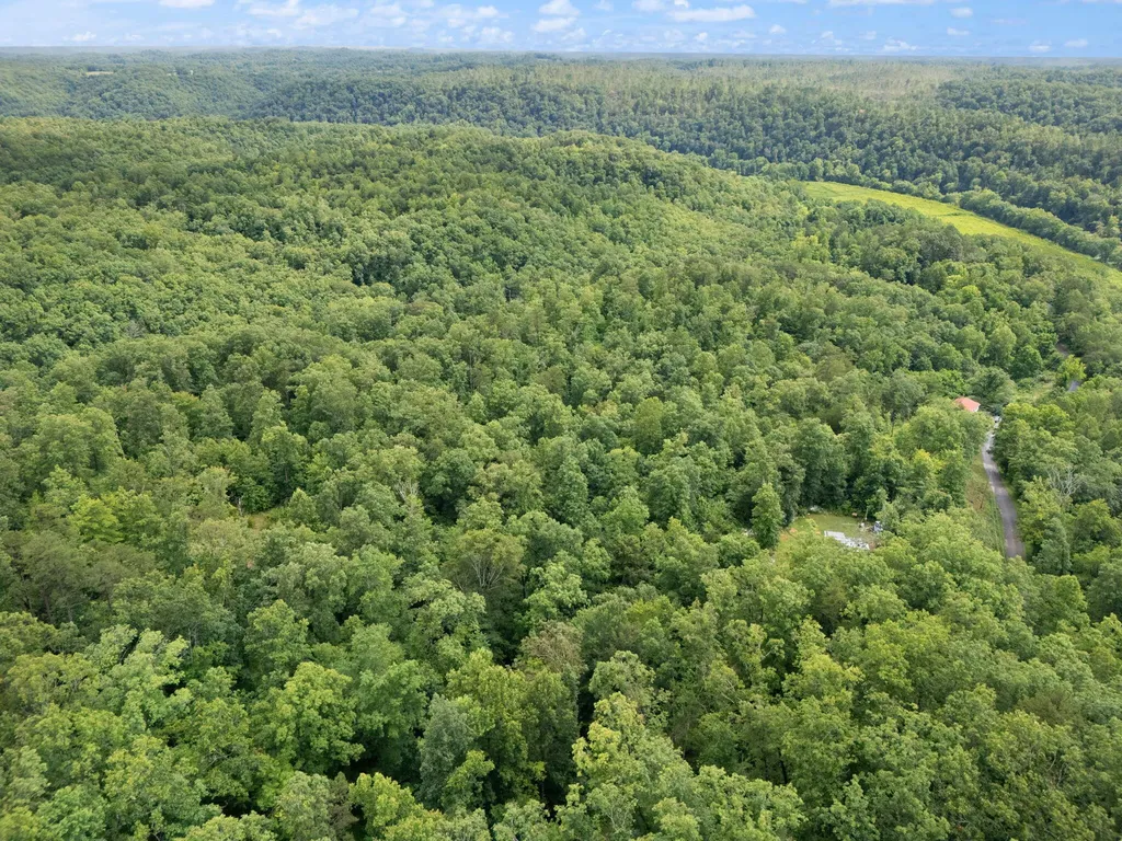 2401 Bell Point Road Beattyville KY 41311