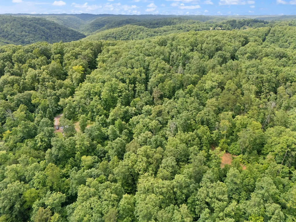 2401 Bell Point Road Beattyville KY 41311