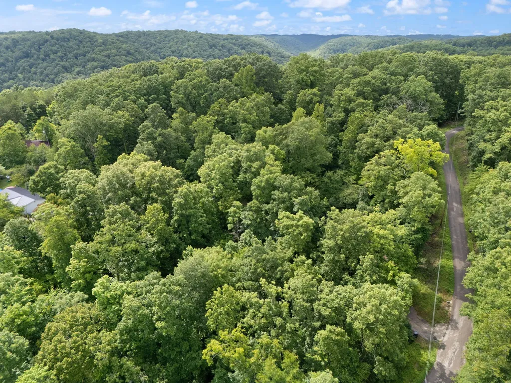 2401 Bell Point Road Beattyville KY 41311