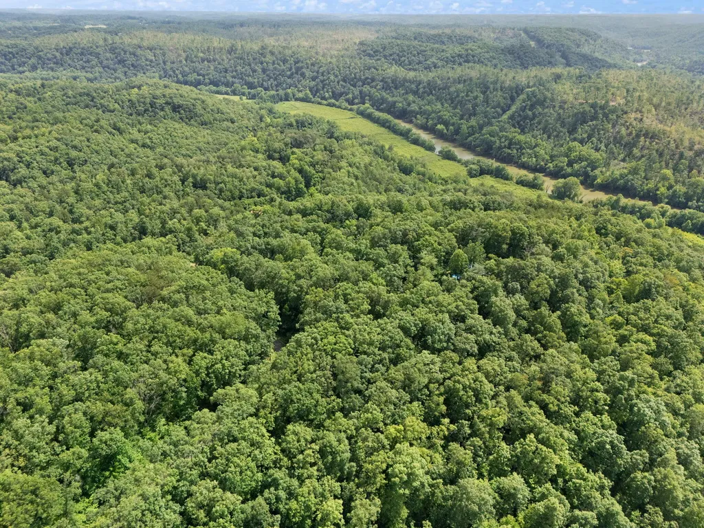 2401 Bell Point Road Beattyville KY 41311
