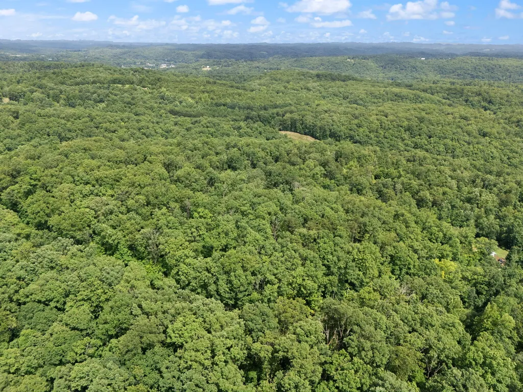 2401 Bell Point Road Beattyville KY 41311
