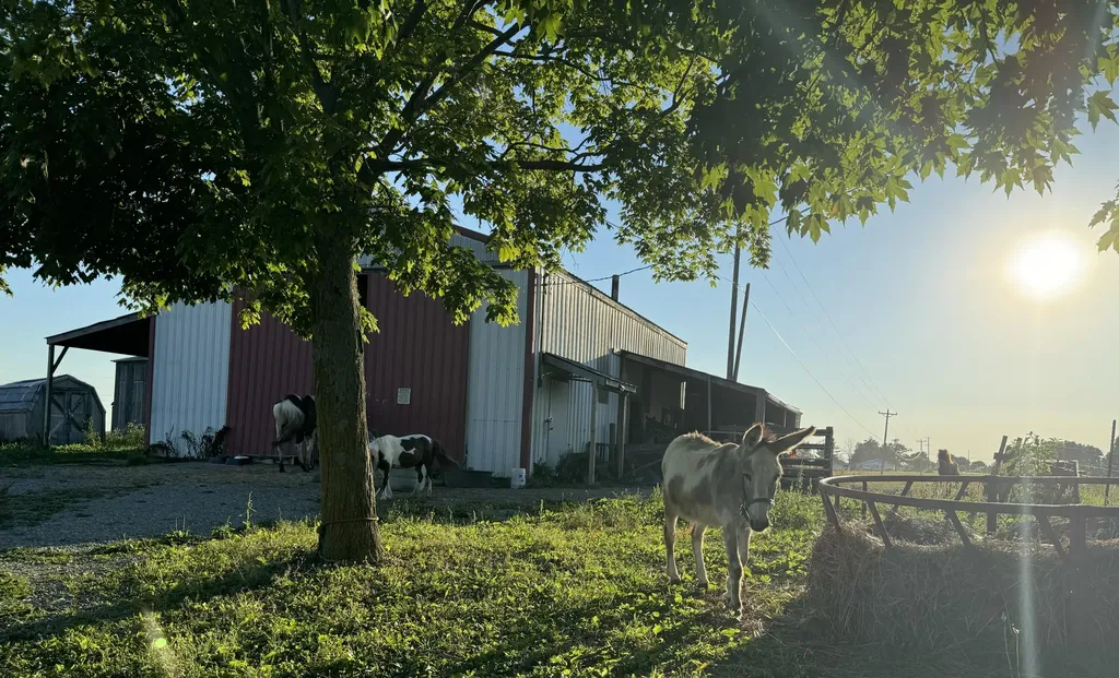 3954 Wallingford Road Flemingsburg KY 41041