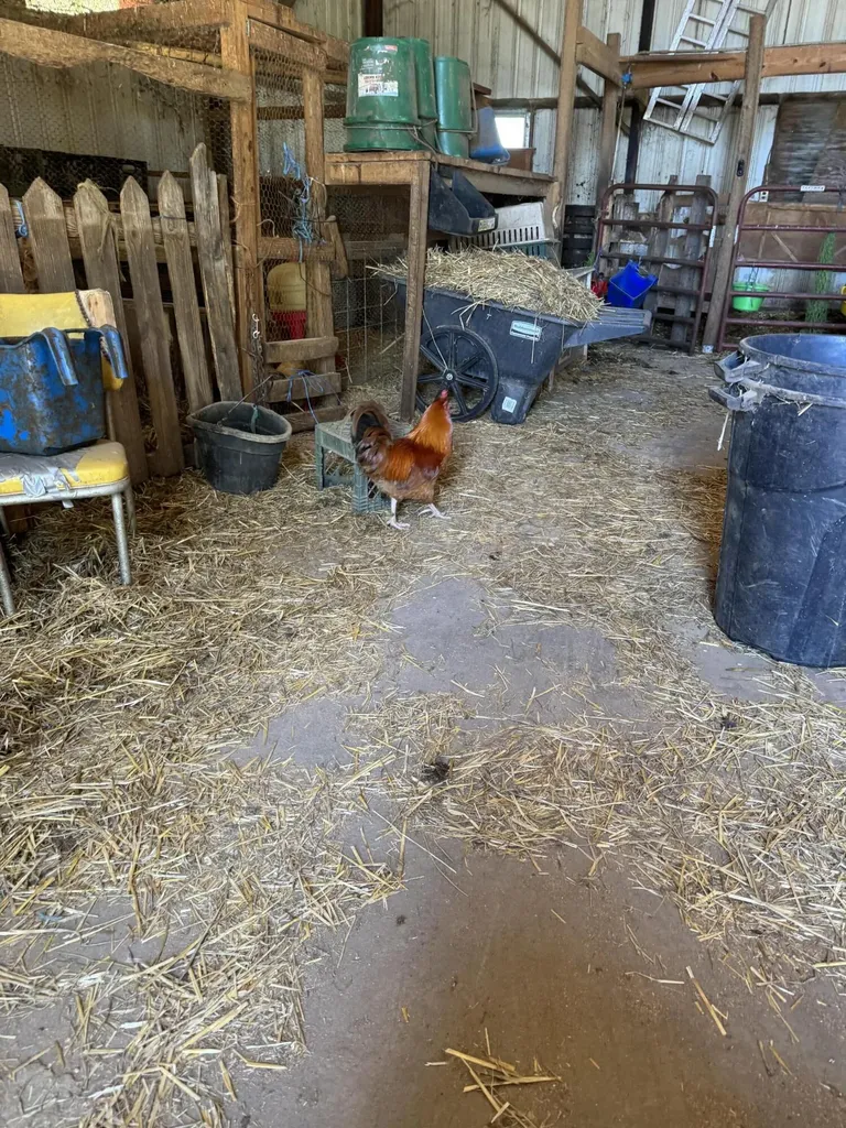 3954 Wallingford Road Flemingsburg KY 41041