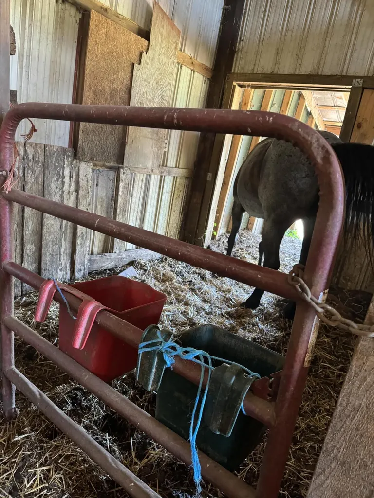 3954 Wallingford Road Flemingsburg KY 41041