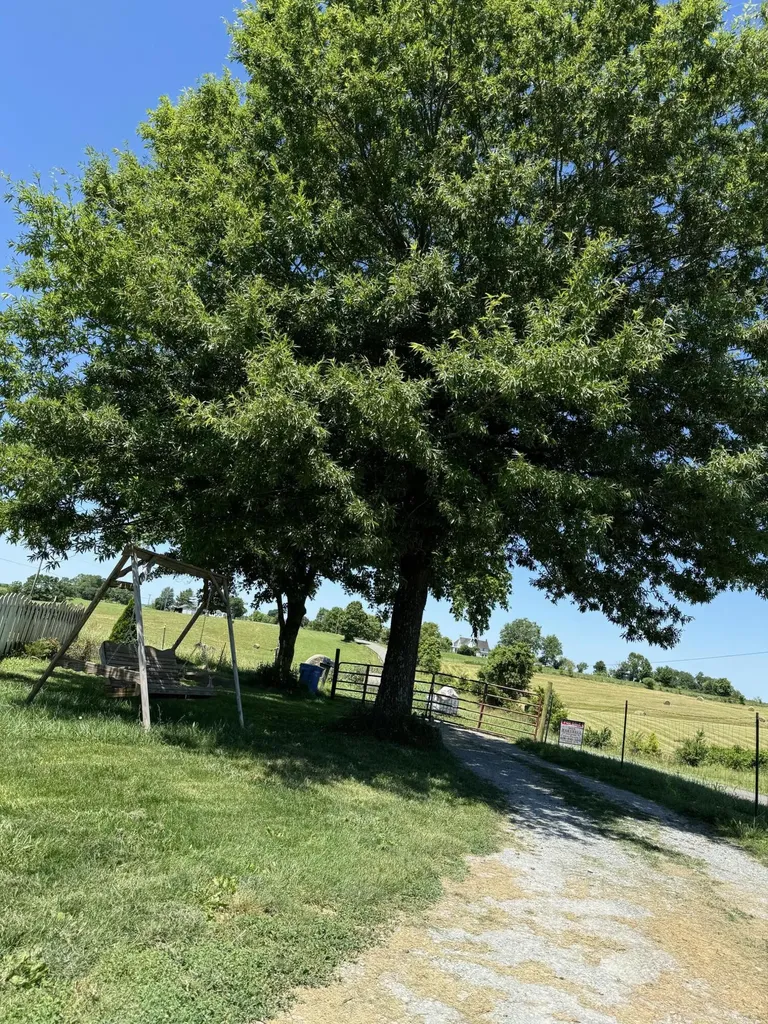 3954 Wallingford Road Flemingsburg KY 41041