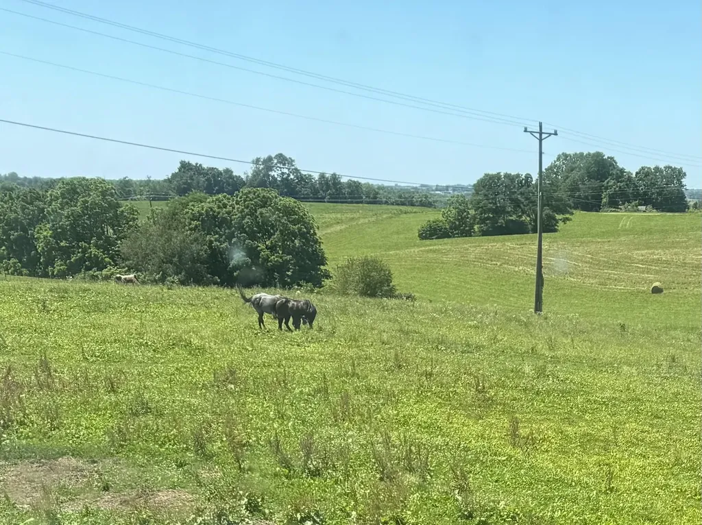 3954 Wallingford Road Flemingsburg KY 41041