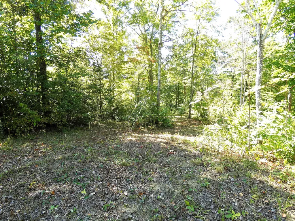 Lot 24 Restful Run Nancy KY 42544