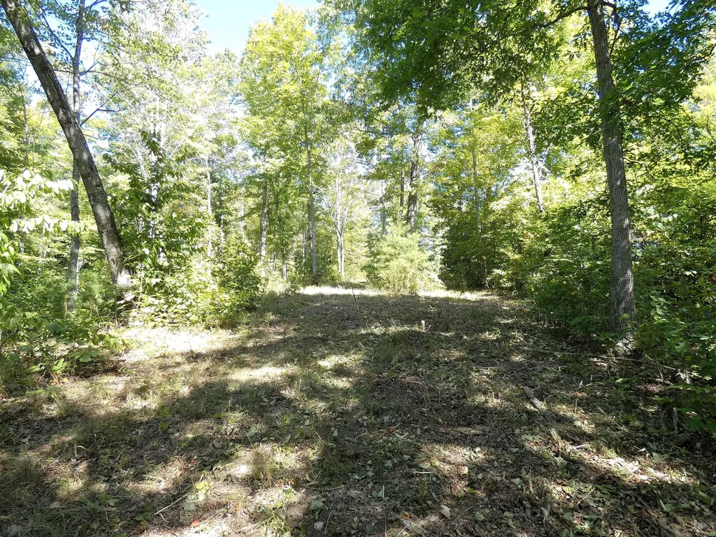 Lot 24 Restful Run Nancy KY 42544