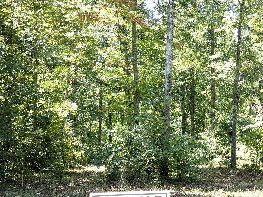 Lot 24 Restful Run Nancy KY 42544