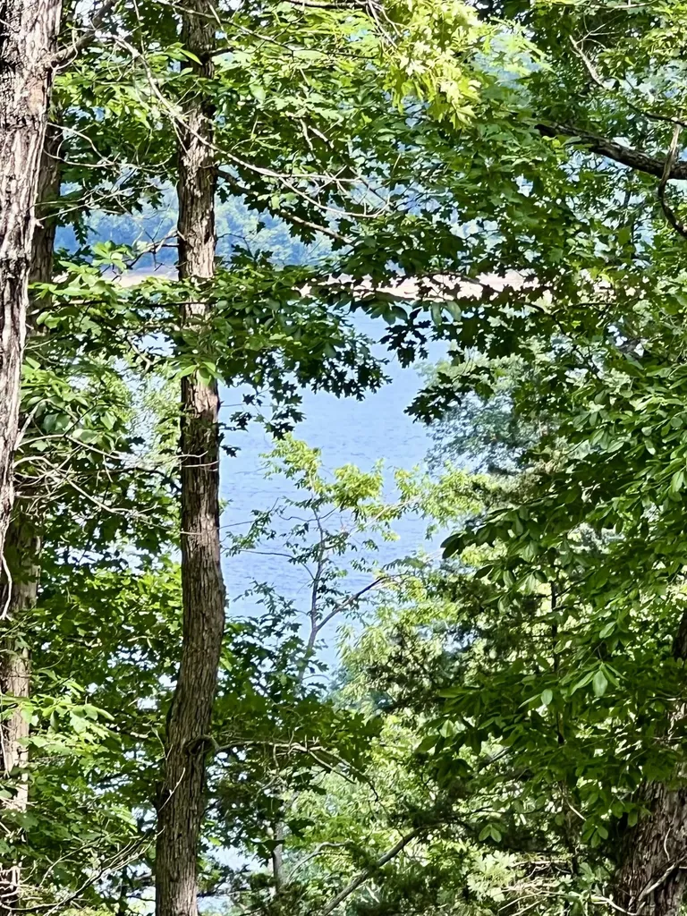 Lot 24 Restful Run Nancy KY 42544