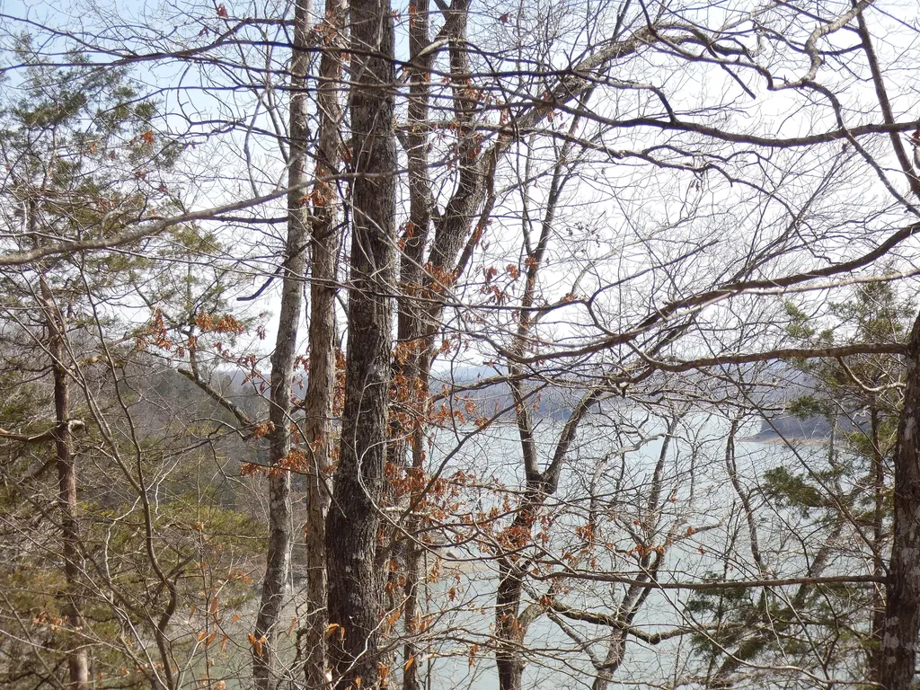 Lot 24 Restful Run Nancy KY 42544