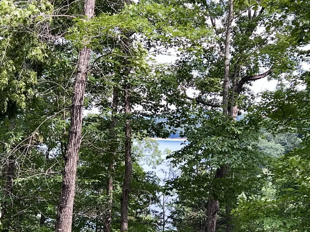 Lot 24 Restful Run Nancy KY 42544