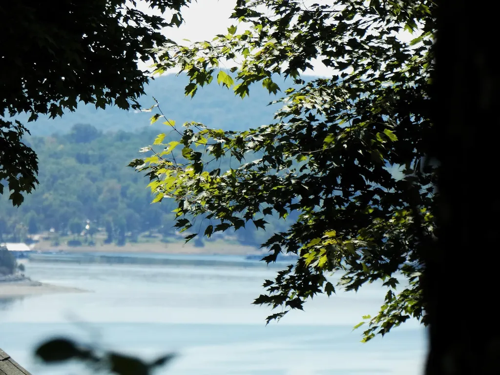 Lot 24 Restful Run Nancy KY 42544