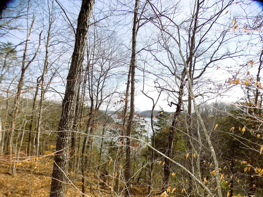 Lot 24 Restful Run Nancy KY 42544