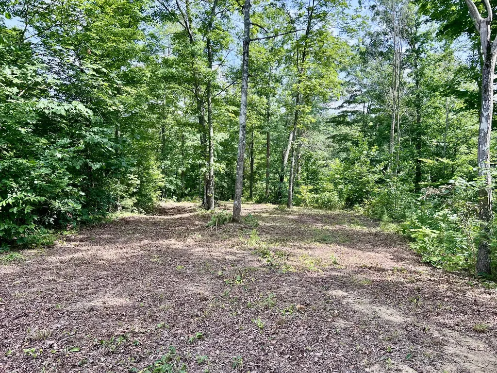 Lot 24 Restful Run Nancy KY 42544