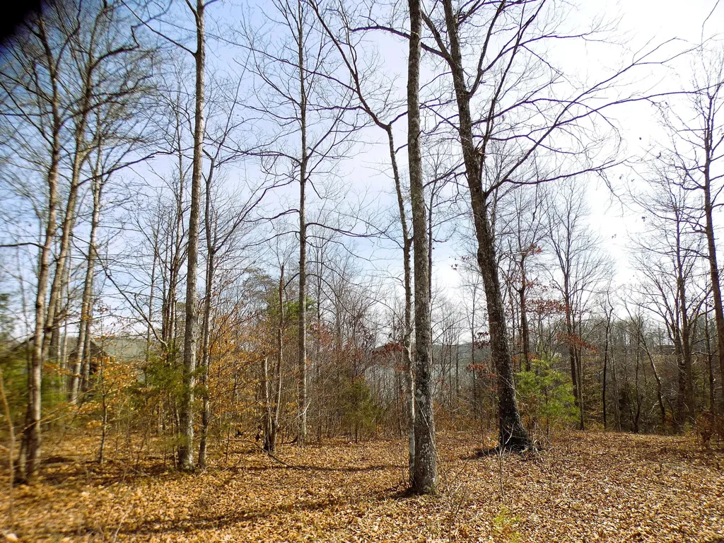 Lot 24 Restful Run Nancy KY 42544