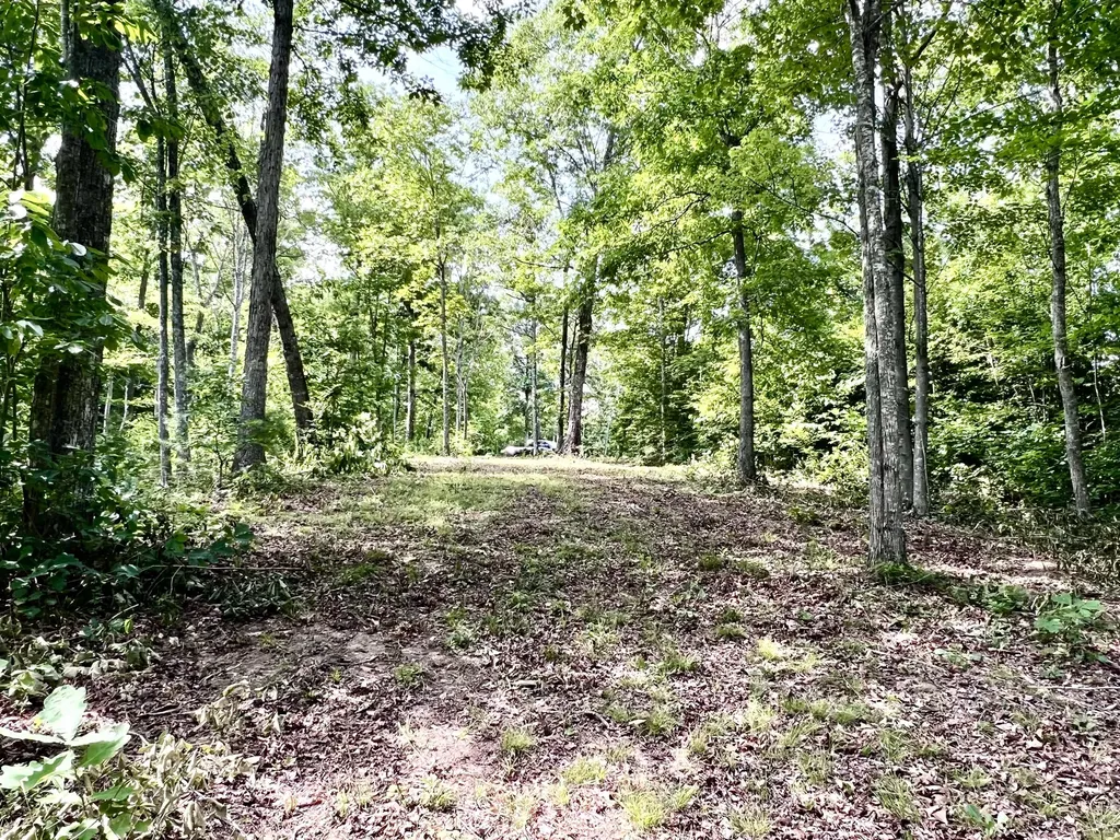 Lot 24 Restful Run Nancy KY 42544