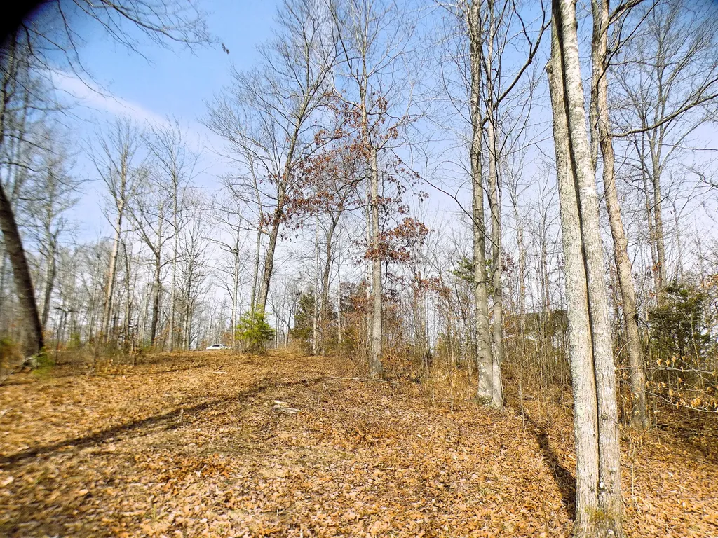 Lot 24 Restful Run Nancy KY 42544