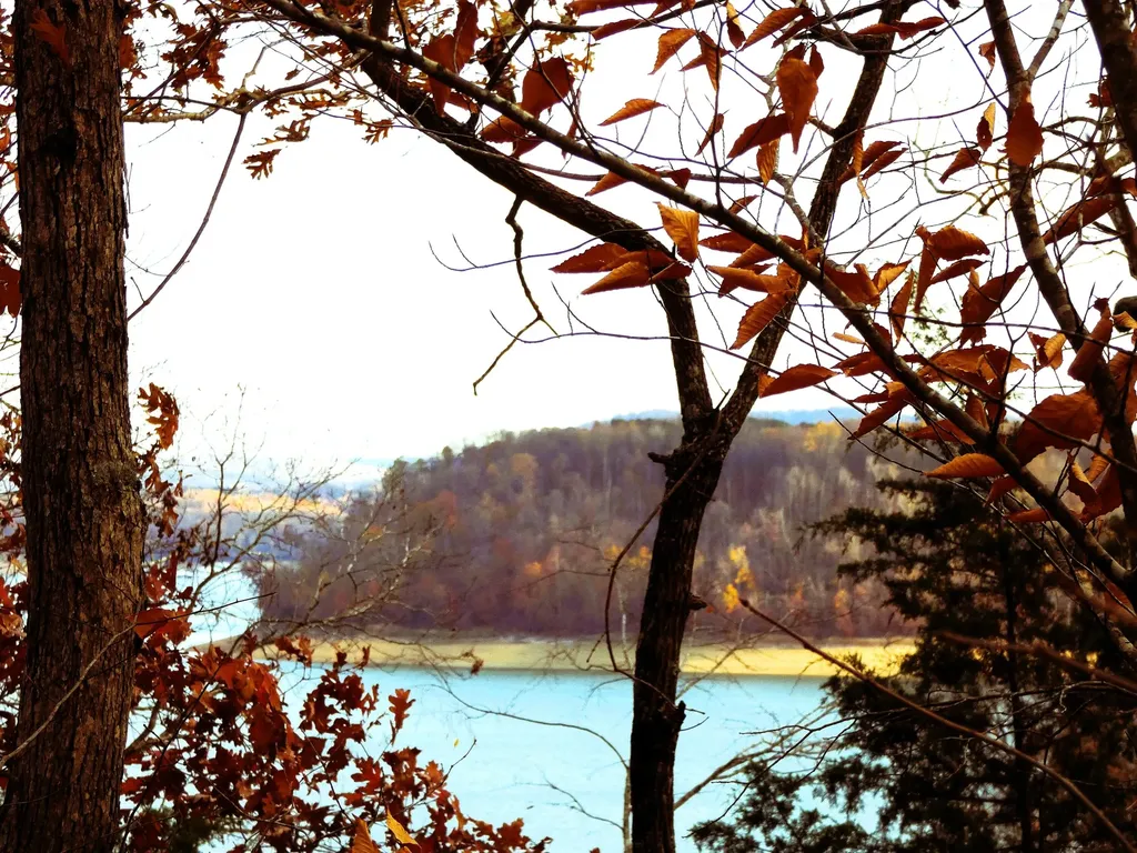 Lot 24 Restful Run Nancy KY 42544