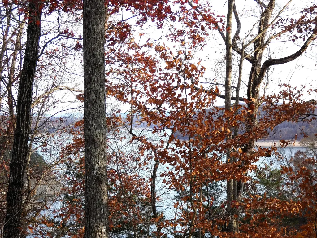 Lot 24 Restful Run Nancy KY 42544