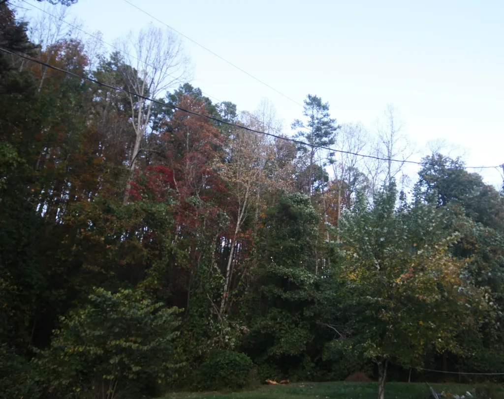 135 Ky-3445 Mckee KY 40447