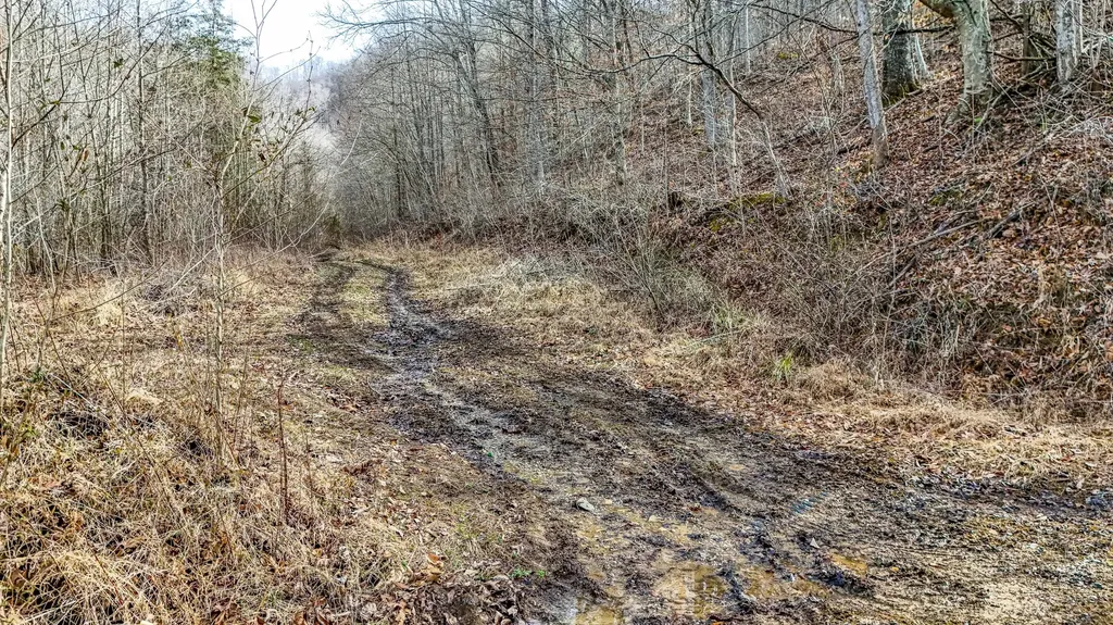 9999 Honeycutt Branch Turkey Creek Barbourville KY 40906
