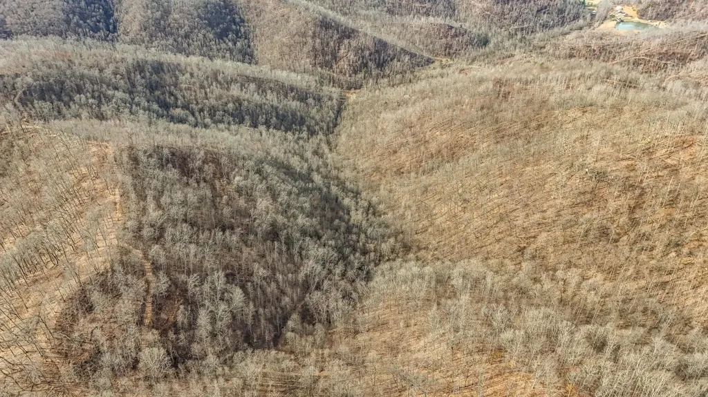 9999 Honeycutt Branch Turkey Creek Barbourville KY 40906
