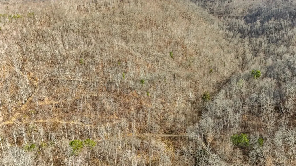 9999 Honeycutt Branch Turkey Creek Barbourville KY 40906