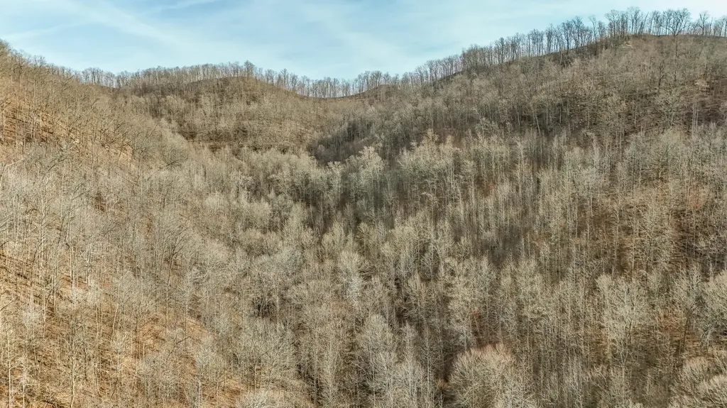 9999 Honeycutt Branch Turkey Creek Barbourville KY 40906