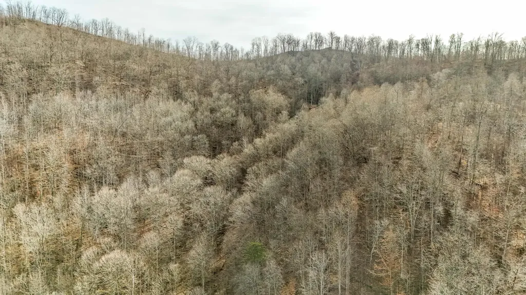 9999 Honeycutt Branch Turkey Creek Barbourville KY 40906