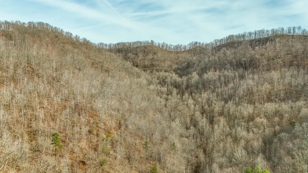 9999 Honeycutt Branch Turkey Creek Barbourville KY 40906