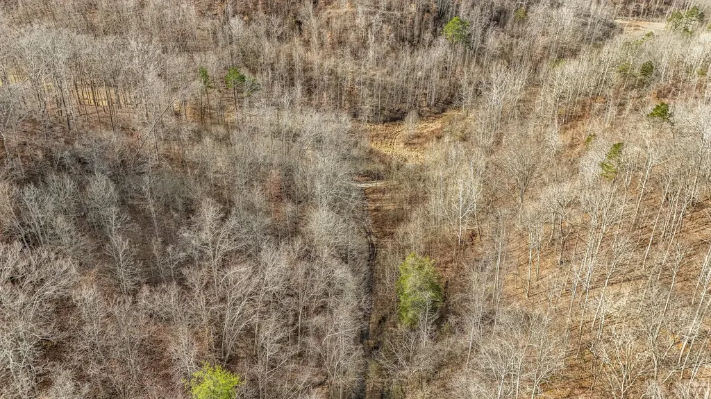 9999 Honeycutt Branch Turkey Creek Barbourville KY 40906