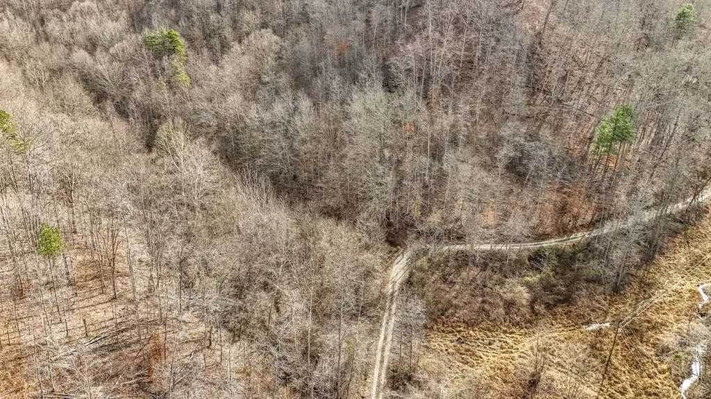 9999 Honeycutt Branch Turkey Creek Barbourville KY 40906