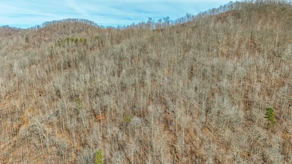 9999 Honeycutt Branch Turkey Creek Barbourville KY 40906