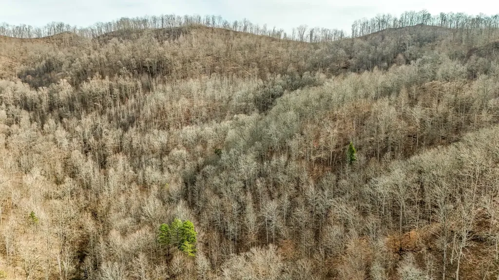 9999 Honeycutt Branch Turkey Creek Barbourville KY 40906