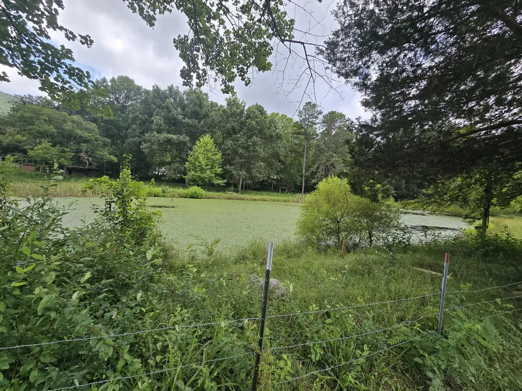 00 Highway 217 & 1344 Middlesboro KY 40965