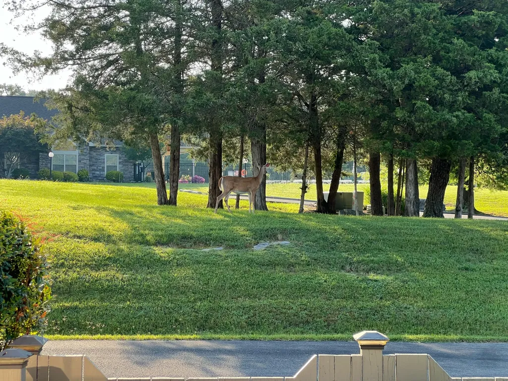 364 Cathedral Place Bronston KY 42518
